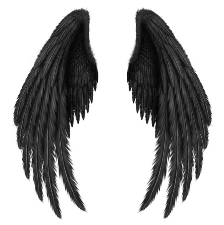 Wings